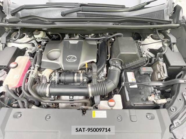 Lexus NX 2016-04 334363-18