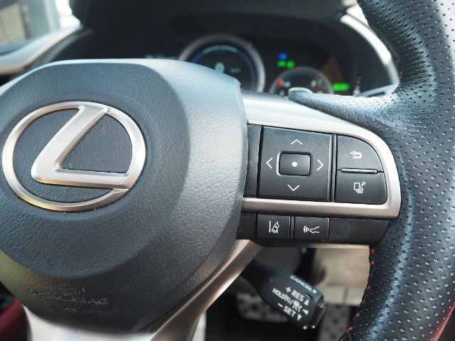 Lexus RX 2020-07 7345-18
