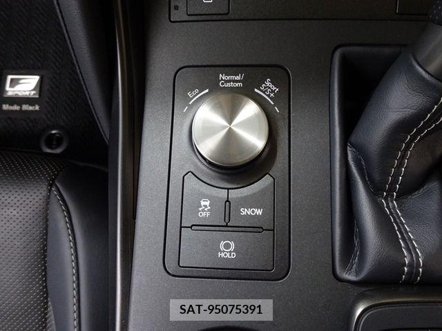 Lexus IS 2020-11 334417-18