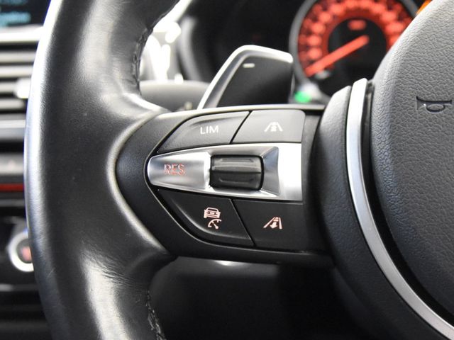 Bmw 3 SERIES 2017-02 194847-13