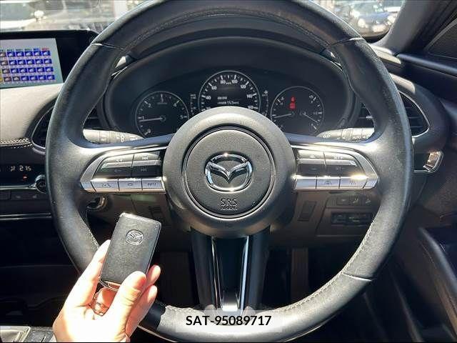 Mazda MAZDA3 2019-05 337336-4