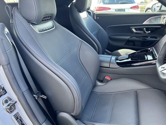 Amg SL 2023-01 13973-14