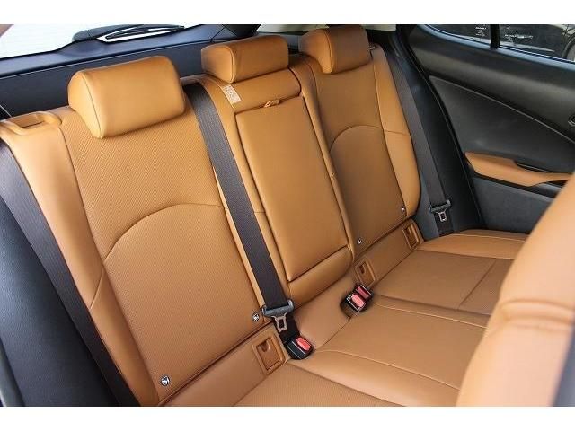 Lexus UX 2018-12 190746-13