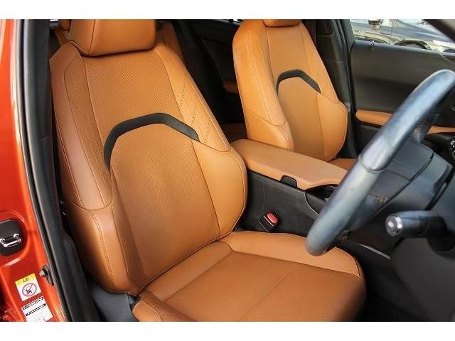 Lexus UX 2018-12 190746-12