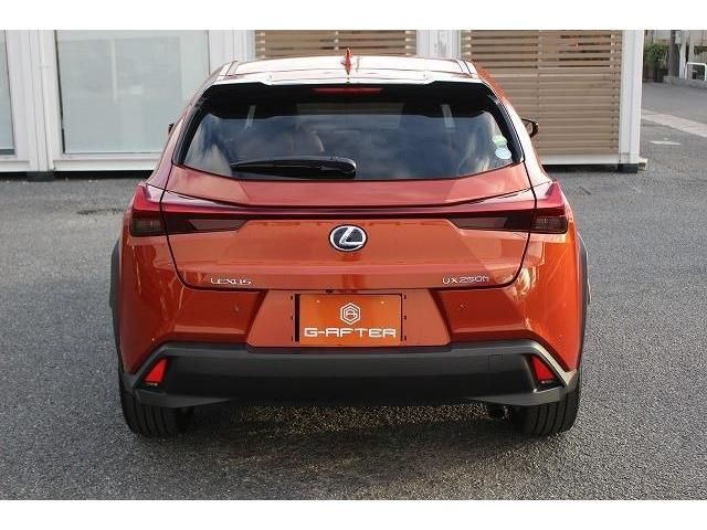 Lexus UX 2018-12 190746-7