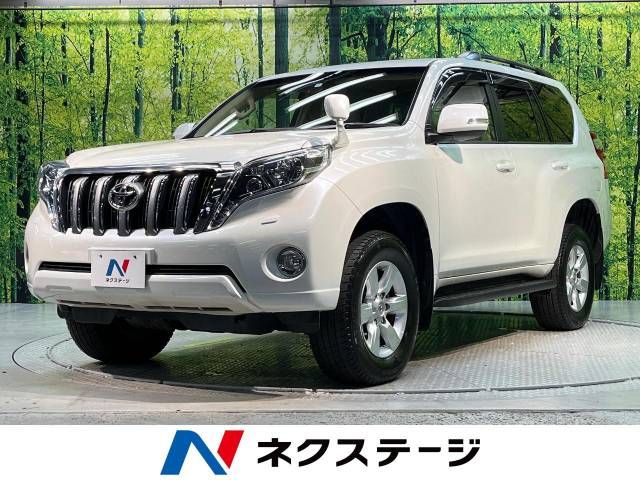Toyota PRADO 2014-11 18816-0