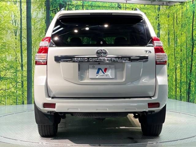 Toyota PRADO 2014-11 18816-15