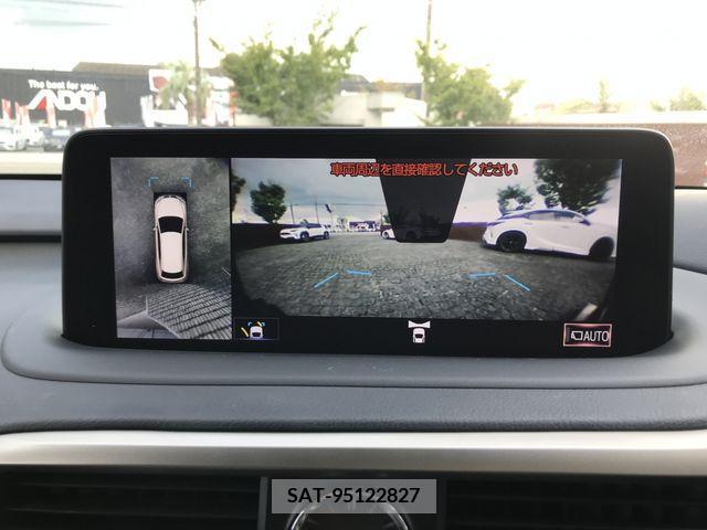 Lexus RX 2019-09 391944-15