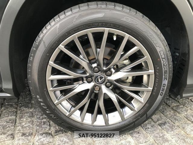 Lexus RX 2019-09 391944-7