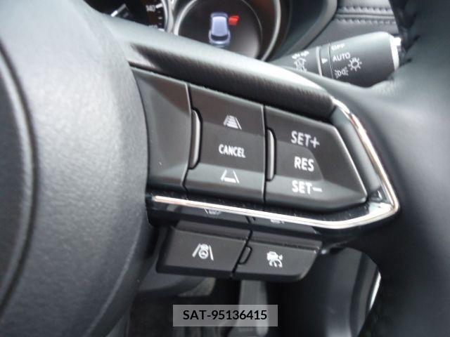 Mazda CX-8 2023-03 308591-19
