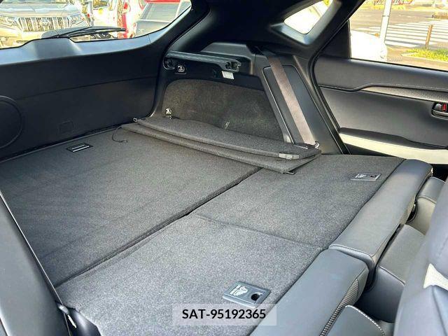 Lexus NX 2017-09 236014-16