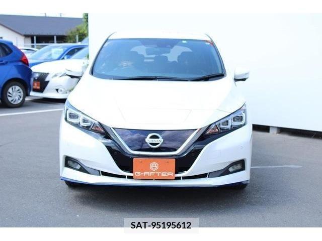 Nissan LEAF 2020-02 367076-5