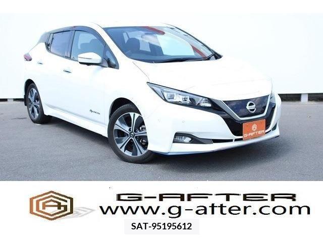 Nissan LEAF 2020-02 367076-0