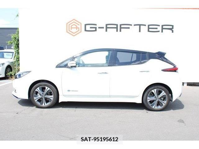 Nissan LEAF 2020-02 367076-8