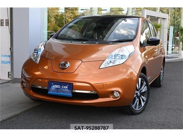 Nissan LEAF 2016-01 248784-0