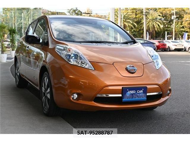 Nissan LEAF 2016-01 248784-3