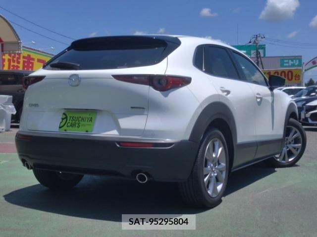 Mazda CX-30 2019-12 302110-1