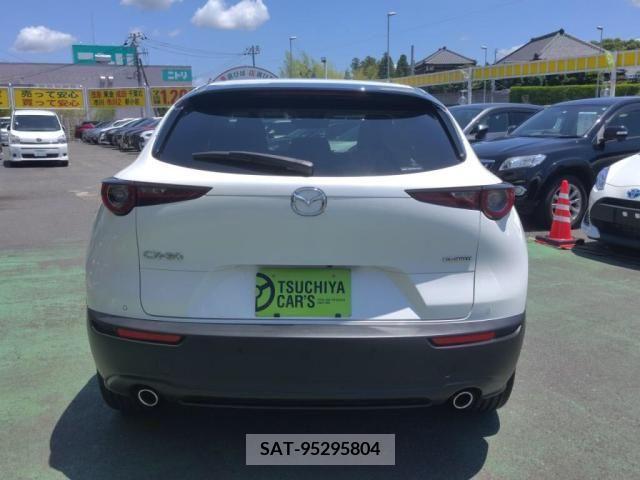 Mazda CX-30 2019-12 302110-9