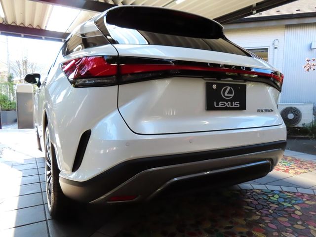 Lexus RX 2023-10 19704-1