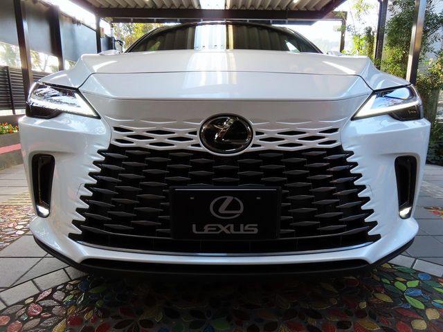 Lexus RX 2023-10 19704-3