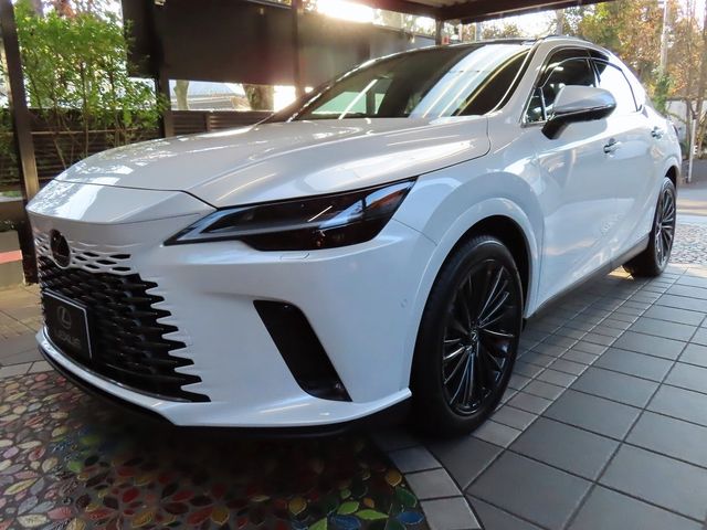 Lexus RX 2023-10 19704-5
