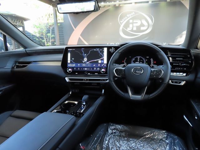 Lexus RX 2023-10 19704-16