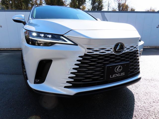 Lexus RX 2023-10 19704-28