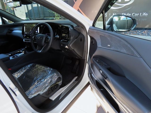Lexus RX 2023-10 19704-14