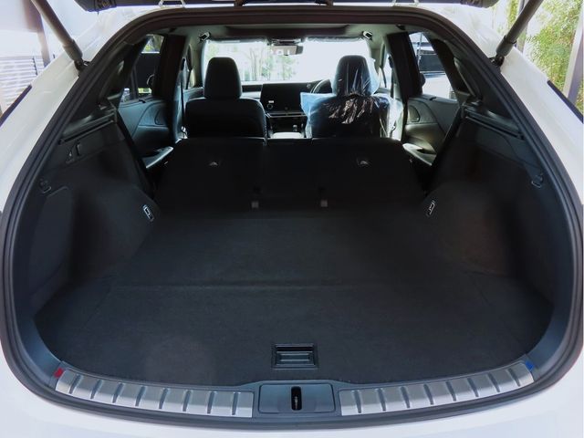 Lexus RX 2023-10 19704-26