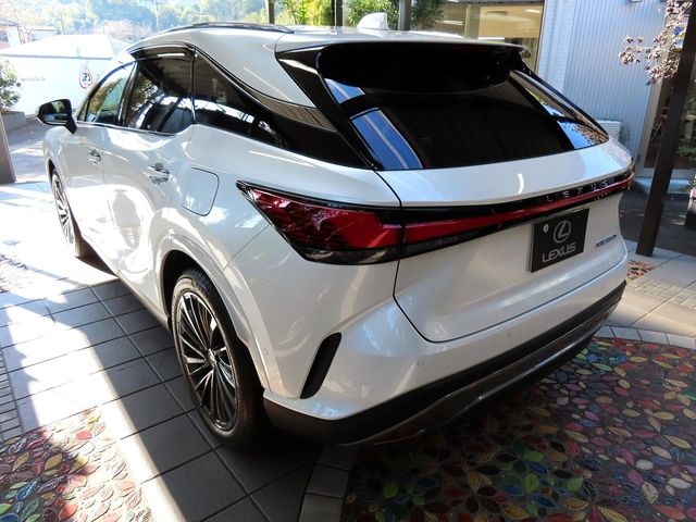 Lexus RX 2023-10 19704-10