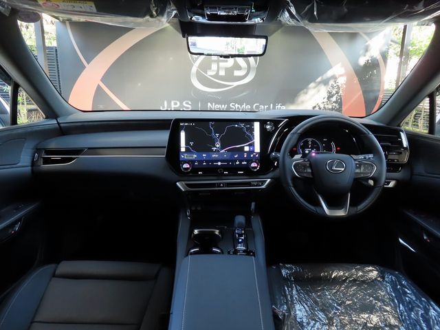 Lexus RX 2023-10 19704-2