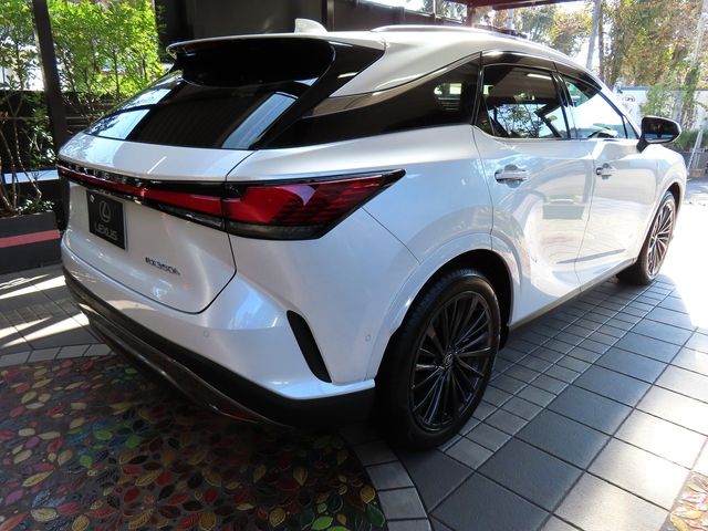 Lexus RX 2023-10 19704-6