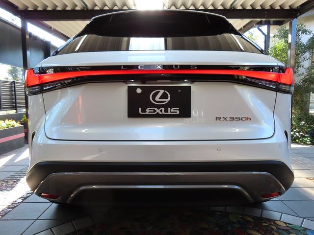 Lexus RX 2023-10 19704-4