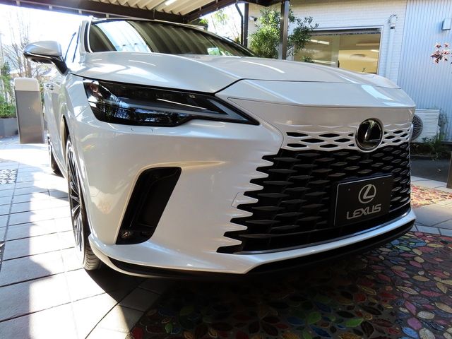 Lexus RX 2023-10 19704-0