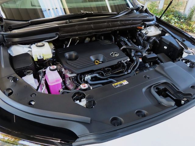 Lexus RX 2023-10 19704-27