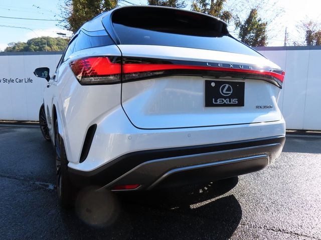 Lexus RX 2023-10 19704-29