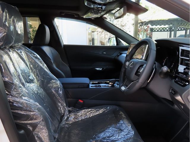 Lexus RX 2023-10 19704-15
