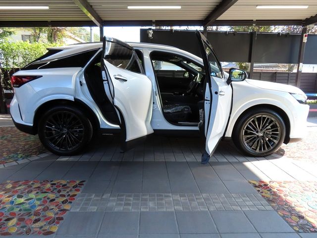 Lexus RX 2023-10 19704-13