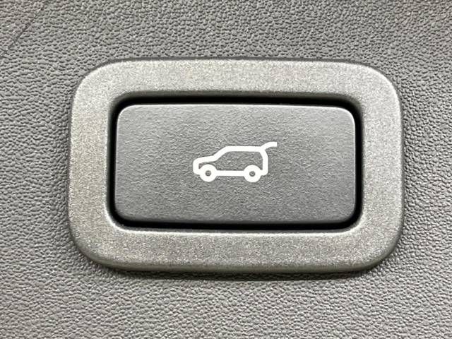 ROVER DISCOVERY 2017-04 14593-8