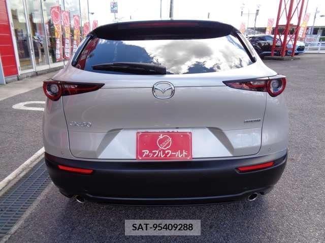Mazda CX-30 2023-03 396189-9