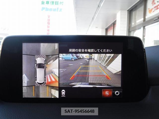 Mazda CX-8 2018-01 236889-8
