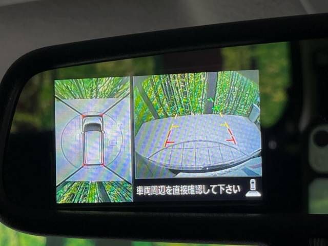 Nissan DAYZ ROOX 2019-03 195271-5
