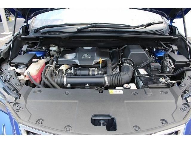 Lexus NX 2017-09 5689-18