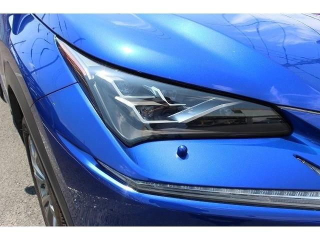 Lexus NX 2017-09 5689-10