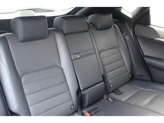 Lexus NX 2017-09 5689-15