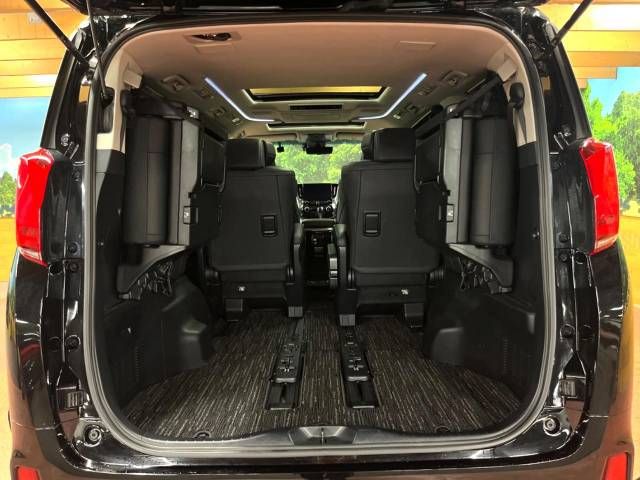 Toyota ALPHARD 2022-04 194069-11