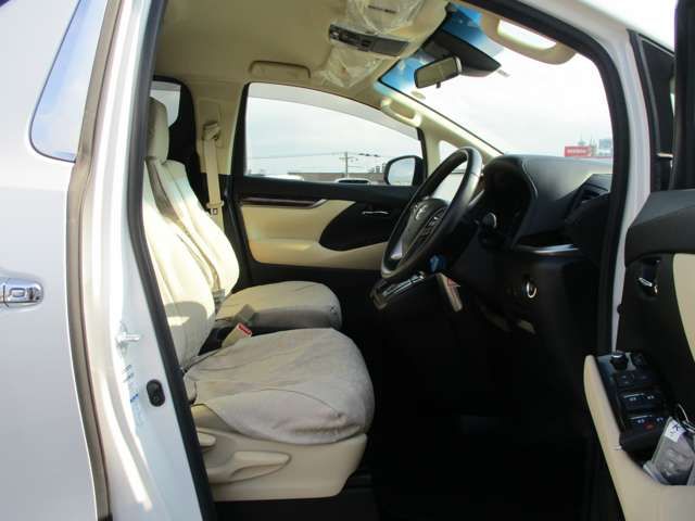 Toyota ALPHARD 2020-10 181713-11