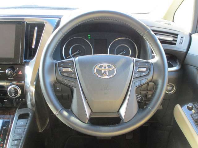 Toyota ALPHARD 2020-10 181713-3