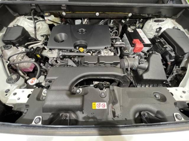 Toyota RAV4 2021-05 13947-18