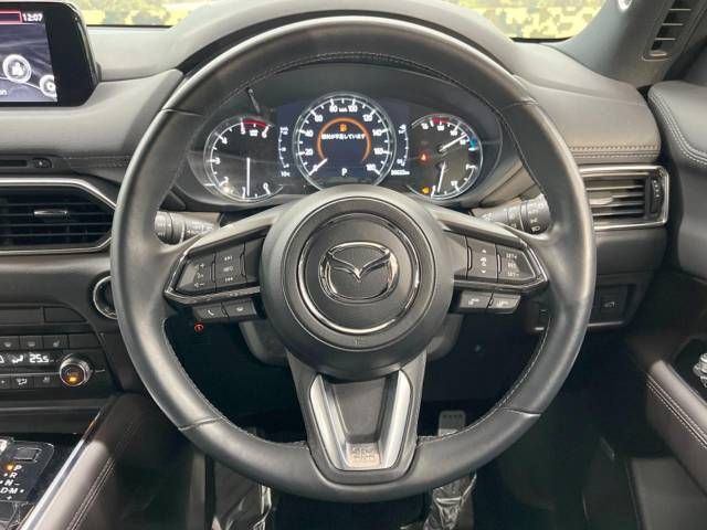 Mazda CX-8 2019-09 193753-12